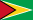 Guyana flag